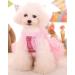 MaruPet Fashion Sweet Puppy Dog Blingbling Princess Skirt Pet Dog Lace Cake Camisole Tutu Dress Pink XXS XXS( Back:5.5" Chest:9.0") A-Pink - Buy Online on GoSupps.com