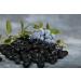 Stoneridge Orchards Whole Dried Blueberries 4 oz - Premium Blueberries for Snacking - Buy Online on GoSupps.com