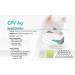 Yanzeo 10 Tests Canine Parvovirus Test Kit - CPV Rapid Home Test for Dogs | Veterinary Clinics | 10-Pack - Buy Online on GoSupps.com