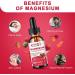 Clam Magnesium Liquid Supplement | 1000MG Blend with Glycinate, Citrate, L-threonate & Taurate | High Absorption & Bio-Availability - Buy Online on GoSupps.com