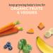Gerber Organic 2nd Foods Pureed Baby Food Variety Pack - 18 Pouches, 3.5 oz Each - Buy Online on GoSupps.com