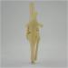 Animal Joint Model - Dog Knee Joint Model - Teaching Model of Dog Knee Joint Medicine - Used for Demonstration Assistance - Buy Online on GoSupps.com