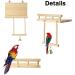 Vogel Parrot Swing & Vibrant Pencil Rods for Hamsters Birds and Exotic Pets - Wooden Climbing Platforms & Toys for Parrots Chinchillas and Budgies - Buy Online on GoSupps.com