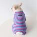 BT BEAR Dog Clothing | Classic Striped Pajamas for Bulldogs & Puppies | Soft Cotton Overalls in Blue & Hot Pink - Size L - Buy Online on GoSupps.com