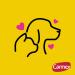 Carmex Lip Balm Stick SPF15 Classic 4.25g - Pack of 1 | Moisturizing Lip Care - Buy Online on GoSupps.com