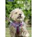 Anol Viva Purple Padded Harness - Size L (52-71cm) - Buy Online on GoSupps.com