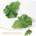 Beaupretty Fake Lettuce Leaves Artificial Vegetables Lettuces Alligator Hair Clip Vegetable Hairpin Hair Clip Cute Hair Accessories Sweet Barrette Creative Party Headdress for Women Girls - Buy Online on GoSupps.com