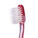 WELdental SoFresh Kids Flossing Toothbrush - Soft Bristles | Color Options | Bundle with (1) Mint Xylitol Dental Floss Kid Size (3-Pack Red) - Buy Online on GoSupps.com