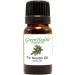 GreenHealth Fir Needle Essential Oil 1/3 fl oz (10 ml) Glass Bottle 100% Pure - Buy Online on GoSupps.com