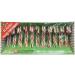 Sweet Peppermint Bliss! 22 Candy Canes (220g) Red & White & Green Swirl Perfect for Christmas Stocking Stuffers and Festive Snacking! - Buy Online on GoSupps.com