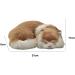 GeKLok Lifelike Simulation Sleeping Cat Toy - Realistic Soft Plush Black Cat Photography Prop - Buy Online on GoSupps.com