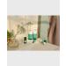 Tea Tree Rapid Action Gel - Purifying Solution for Oily Blemished Skin | The Body Shop | Vegan | 0.5 Fl Oz - International Shipping - Buy Online on GoSupps.com