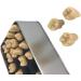 Adult Size Dental Teaching Reproductions - Resin Normal Teeth Model for Dental Care & Practice - Buy Online on GoSupps.com