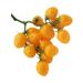 Ciieeo Simulated Small Tomatoes Models Fruit Photo Prop Faux Cherry Tomatoes Ornament Lifelike Fruit Fake Cherry Tomatoes for Decor Home Fruit Ornament Artificial Foam Fake Fruit Yellow 4.00X2.00X2.00CM