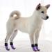 Pupeck Double-Sided Anti-Slip Dog Socks - Adjustable Strap Indoor Dog Shoes for Summer | Large Purple (2 Pairs) - Traction Control & Paw Protection - Buy Online on GoSupps.com