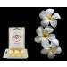 Filipino-Inspired Kalachuchi Scented Candle Wax Melts