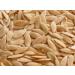Ethnic Choice 100% Natural Dried Cucumber Seeds kakdi Magaz_Pack Of 100 g - Buy Online on GoSupps.com