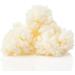 Buy 15g Organic Milk Kefir Grains | Best European Tibetan Mushroom Starter | Free International Shipping - Buy Online on GoSupps.com