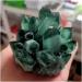 Natural Crystal Rough Stone Crafts Newly Discovered Green Quartz Crystal Cluster Specimen (Size : 600-700g) - Buy Online on GoSupps.com