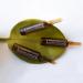 Gerovital Tratament Expert Ampoules Antipelliculaires Intensives Soin capillaire antipelliculaire 10 ampoules x 10 ml - Buy Online on GoSupps.com