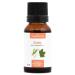 MAPLE - 15mL - Organic bud macerate