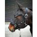 JF-Reitsport Cavesson Pro 2021 - 4-Way Adjustable Soft & Shock-Absorbing Padded for Warmbloods | International Shipping Available - Buy Online on GoSupps.com