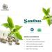 Magnesium Aspartate 120 - 120 Vegetarian Capsules | SPEC Supplements - Buy Online on GoSupps.com