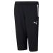 PUMA Unisex Kids Pants Teamliga Training 34 Pants Jr 140 Puma Black-puma White