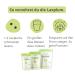 Laxplum - Fermented Green Plum with Chloride & Calcium for Digestive Health | 60 Pieces Pack | Ideal for Travel & Fasting - Buy Online on GoSupps.com