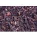 OMG Deals Ratanjot (Alkanna/Alkanna tinctoria) 100gm - Treat Skin & Scalp Infections - Reduce Inflammation - Anti Acne & Anti Aging
