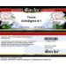 Buy Yucca Schidigera 4:1 Salve 2 oz - Natural Skin Relief | International Shipping Available - Buy Online on GoSupps.com