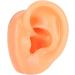 Flexible Silicone Left Ear Model for Realistic Earwax Removal Simulation - Buy Online on GoSupps.com