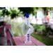 KOOBOOK 1 Pcs Accurate Hydrometer Salinity Meter | 1.000-1.027 Salinity Range | Ideal for Aquarium Fish Tank Marine Sea Saltwater | Measure Salinity 0-36 - Buy Online on GoSupps.com