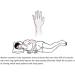 Sleep Aid Ring Steel Acupressure Apnea Insomnia with Adjustable Opening - Stimulate Acupuncture Points for a Good Night's Sleep (L) - Buy Online on GoSupps.com