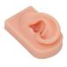 Fake Ear Model Soft Comfortable Right Ear Multi Purpose Silicone Human Ear Model Flexible for Acupuncture Practical Training for Earrings Display (Light Skin Color)