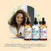 ArtNaturals Anti-Aging Set - Vitamin-C Retinol Hyaluronic Acid Serum for Wrinkles & Dark Circles - 3 x 1 Fl Oz - All Natural & Moisturizing (ANAA-0101) - Buy Online on GoSupps.com