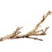 Exo Terra Forest Branch - Natural Reptile Terrarium Decoration - Buy Online on GoSupps.com