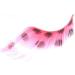 Stargazer Feather Eye Lashes style 65 synthetic lash pair includes glue. - Buy Online on GoSupps.com