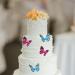 ONLFPZP butterfly decorations cake decorations 100 pieces beautiful and delicate suitable for butterfly theme party wedding anniversary party etc. - Buy Online on GoSupps.com