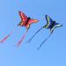 HENGDA Butterfly Kite for Kids and Adults - Colorful Outdoor Single Line Kite with Flying Tools - Red & Blue - Buy Online on GoSupps.com