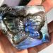 Natural Blue Labradorite Hand crved owl Polished Crystal Butterfly Stones - (Color: 1pcs Size: Random ments) Chakra Reiki Balancing - Buy Online on GoSupps.com