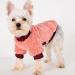2 Pack X-Small Dog Clothes for Chihuahua, Yorkie, Cat - Purple Red Sweater and Shirt Set - Buy Online on GoSupps.com