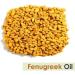 Fenugreek Oil (Trigonella foenum) Essential Oil (100 ML) Fenugreek 100 ml (Pack of 1) - Buy Online on GoSupps.com
