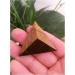for 45mm Natural Crystal Pyramid Tiger's-Eye Quartz Tetrahedron Pyramid Reiki Minerals Quartz Crystals Stone gemst ningxiao - Buy Online on GoSupps.com