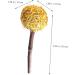 NOLITOY 12pcs Pet Rabbit Snacks Chinchilla Treats Teeth Grinding Sticks Pet Chewing Playthings Animal Petal - Buy Online on GoSupps.com