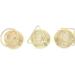 Ranvi 3 Pack Beauty Sponge Blender Holders Gold - Buy Online on GoSupps.com
