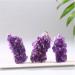 Meditation Home Natural Quartz Amethyst Cluster Healing Stones Specimen Home Decoration Crafts Purple Crystal Mineral Sample 1Pcs Crystal Cluster (Color : Crystsl Cluster Size : 30-40g) 30-40g Crystsl Cluster - Buy Online on GoSupps.com
