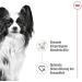 ROYAL CANIN X-Small Adult | Pack of 4 | 4 x 12 x 85 g | Wet Food for Adult and Very Small Dogs | From 10 Months | with Chunks in Sauce | in Sachet - Buy Online on GoSupps.com