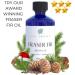 Cinnamon Broom Aroma Diffuser Oil by SLK Aroma - The Fresh Smell of Cinnanmon Broom and The Fall Season - Niche Blend Sri Lanken Cinnamon and Sweet Spices - for All Diffusers (30 ml Cinnamon Broom) Cinnamon Broom 1 Fl Oz (  - Buy Online on GoSupps.com