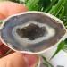 Specimen Natural Rough Small Agate Quartz Geodes 1pc ZJGIDTEM - Buy Online on GoSupps.com